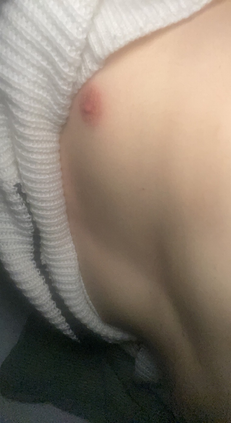 Kiwi cover image