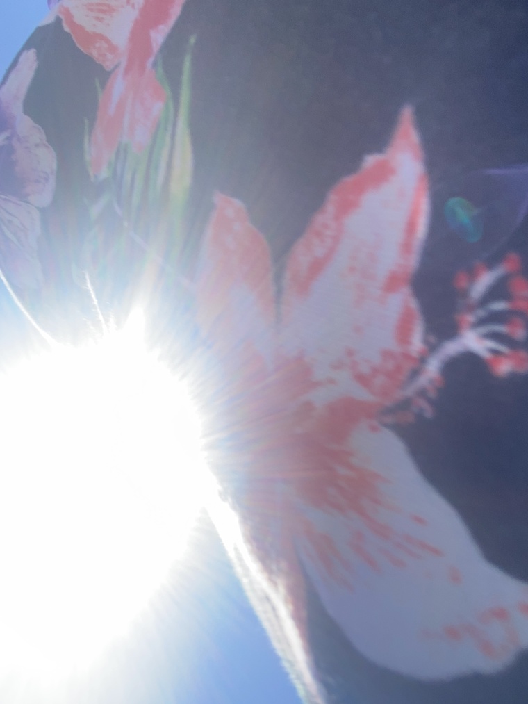 KaylJean banner image