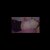 KneedyXxX avatar