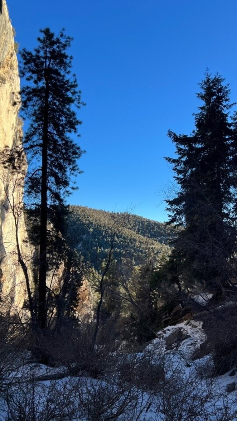 Blue cover image