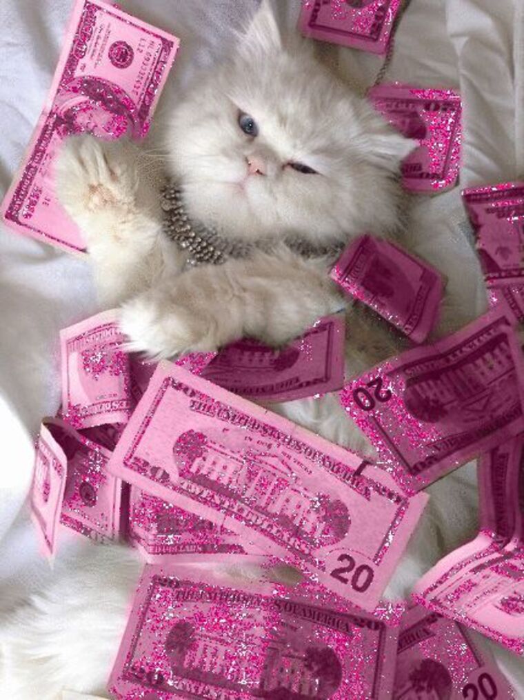 Kitties & Titties 💕🐈⬛ cover image