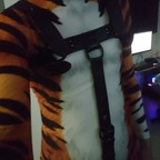Tiger's den avatar