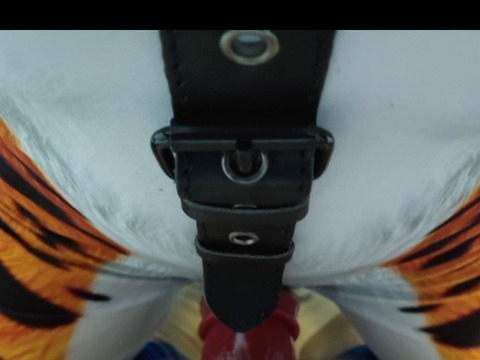Tiger's den cover image