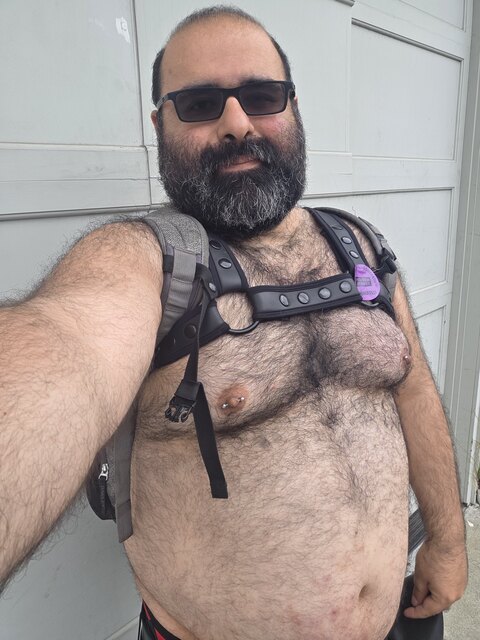 KogeBear cover image