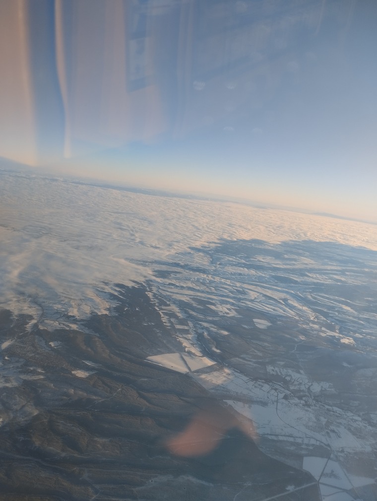 Koko_feet banner image