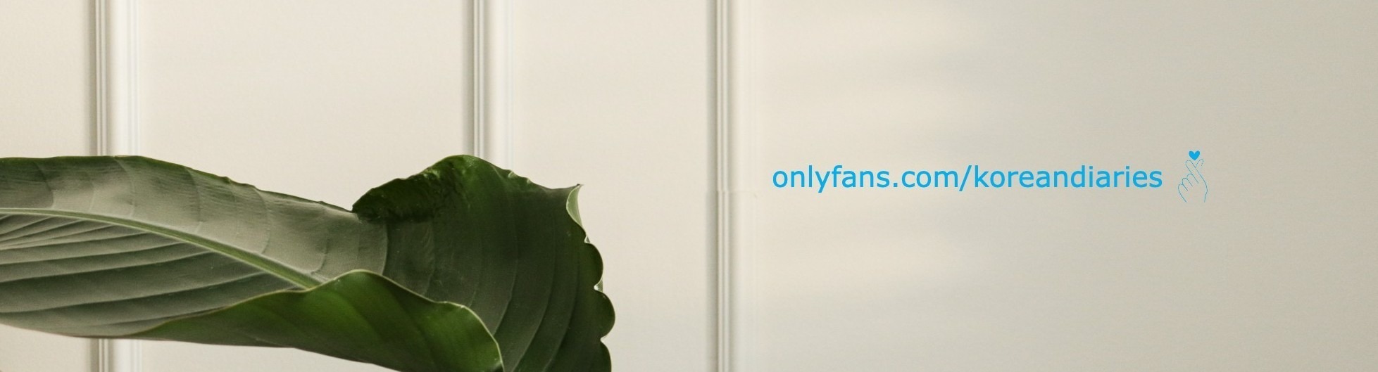 Korean Diaries banner image
