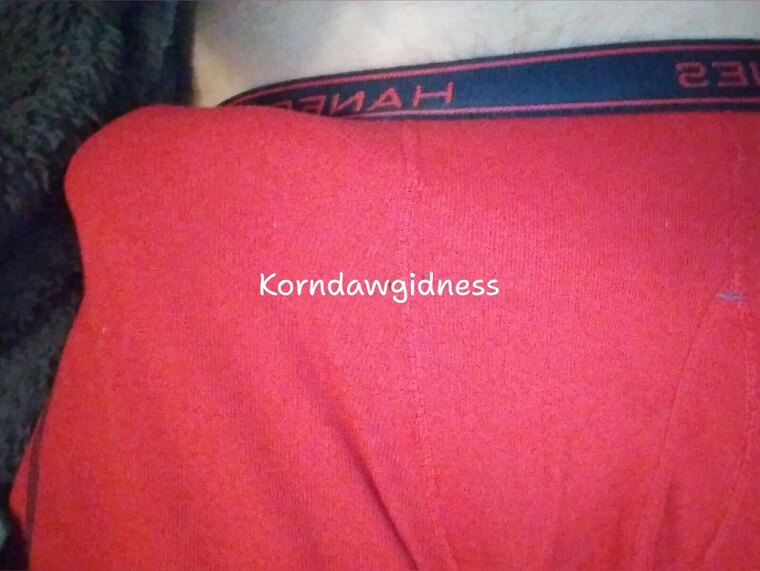 Korndawgidness banner image