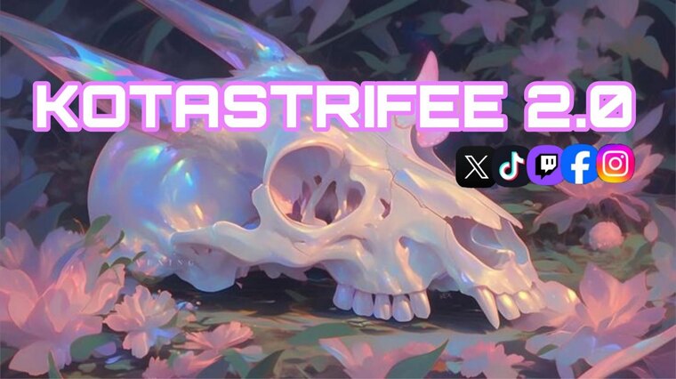 Koda Kotastrifee cover image