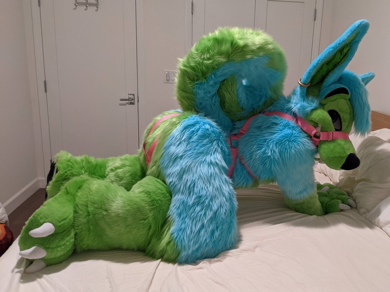 KovuTheHusky cover image
