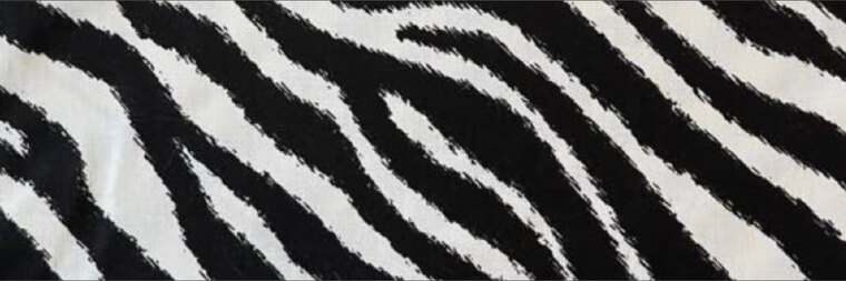 Kozii banner image
