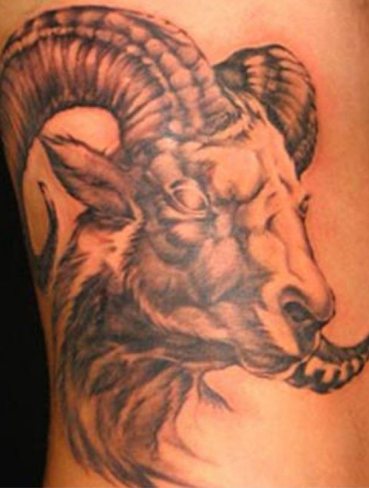 Muscle Goat cover image