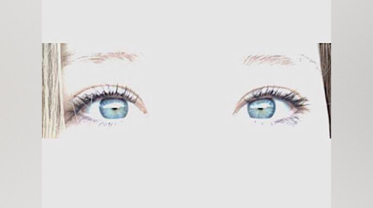 Kitty banner image