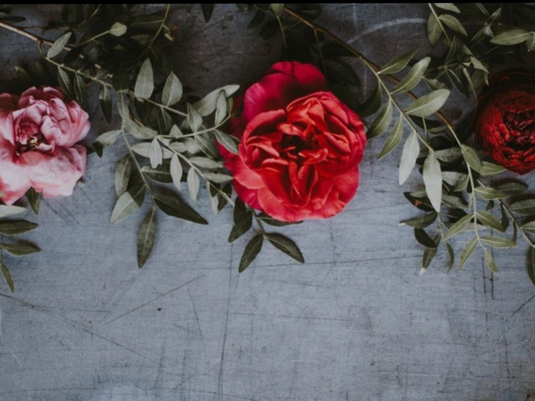 Kris Lewiso banner image