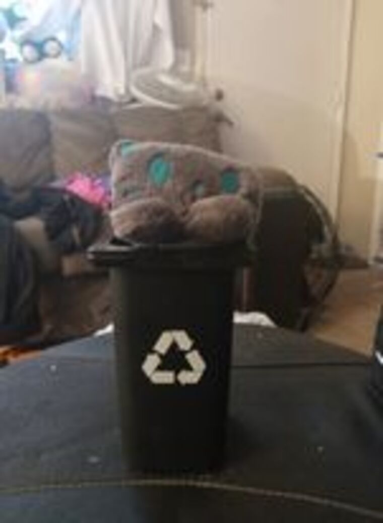 Katt banner image