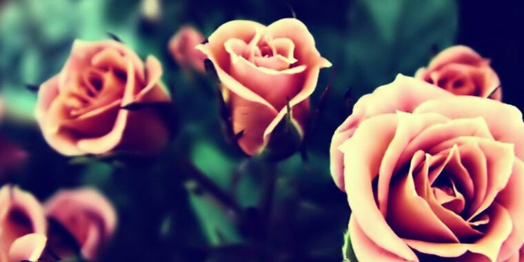 Kristina banner image