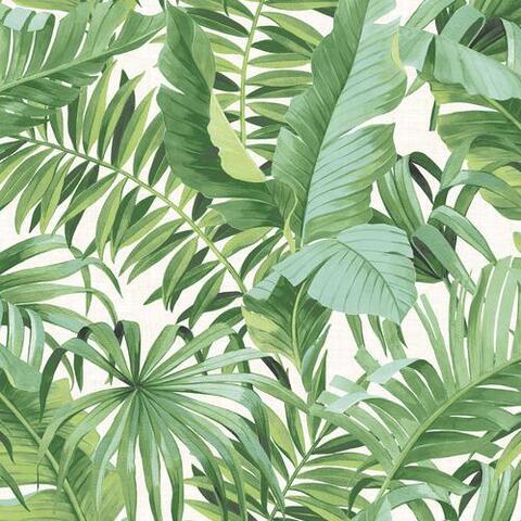 Katie Lane cover image