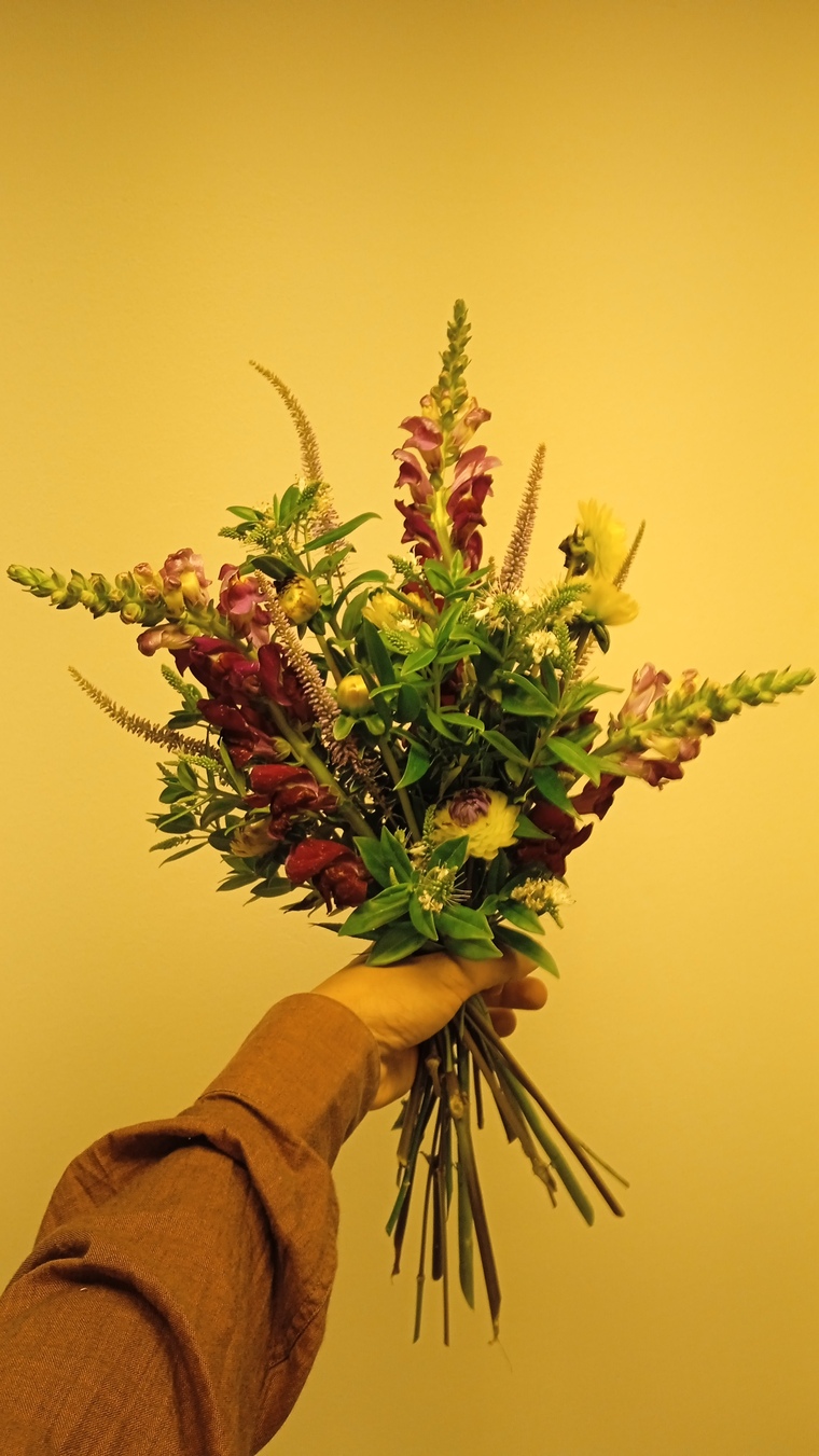 Flowermind cover image