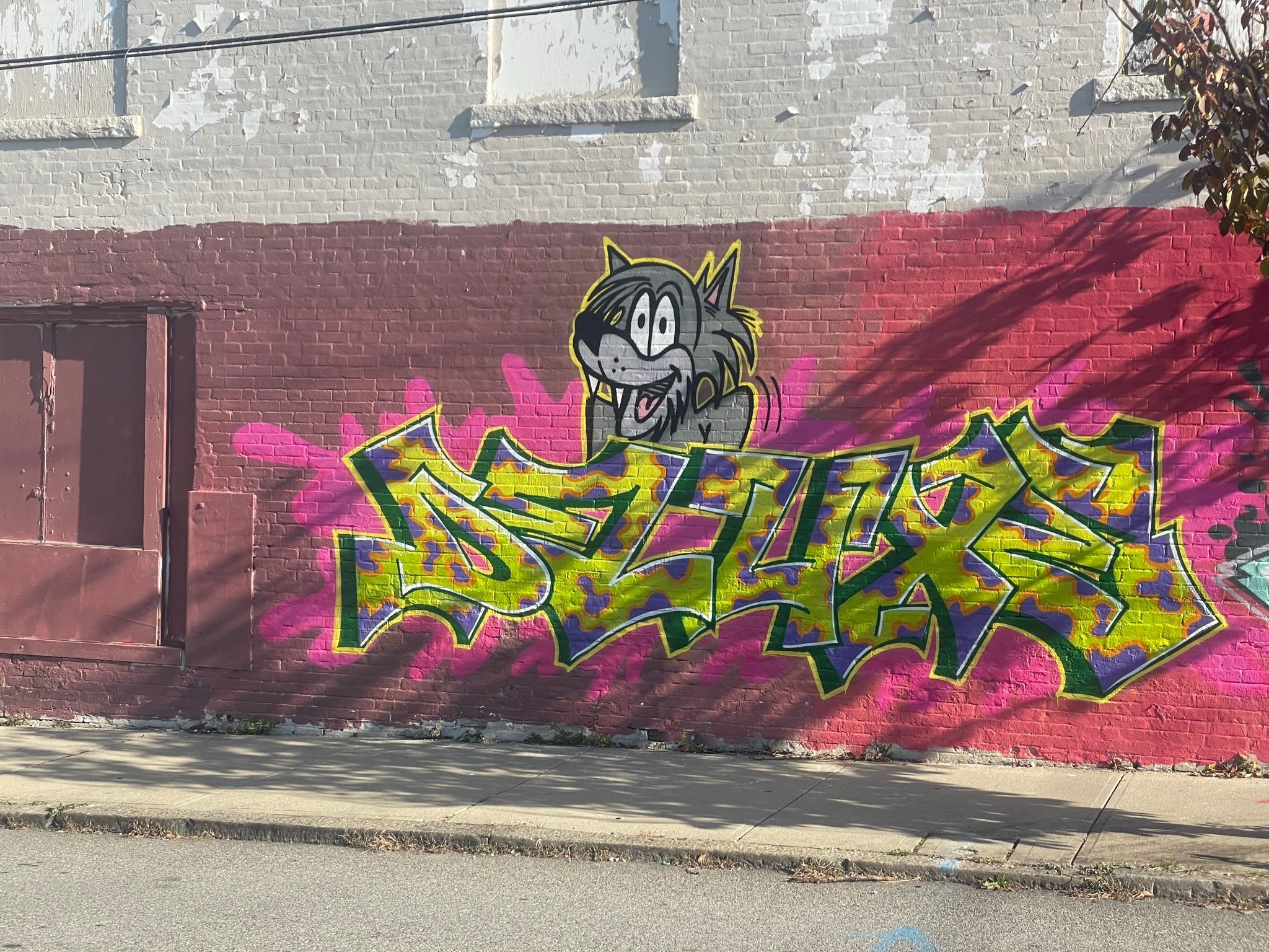 Kuma banner image