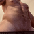 Northernstrength avatar