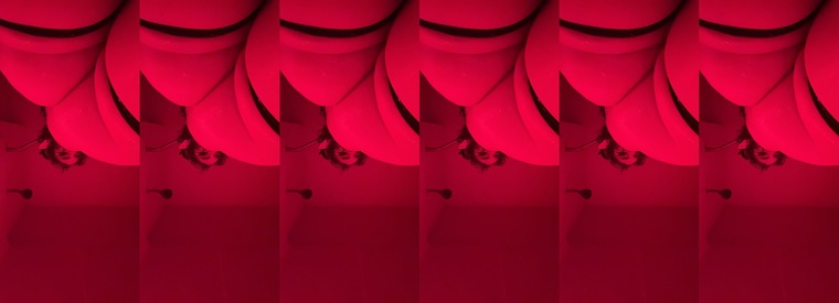 curiouskittenOWNZ cover image