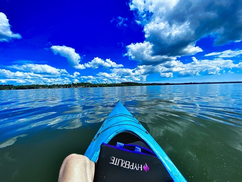 Kiran williamson cover image