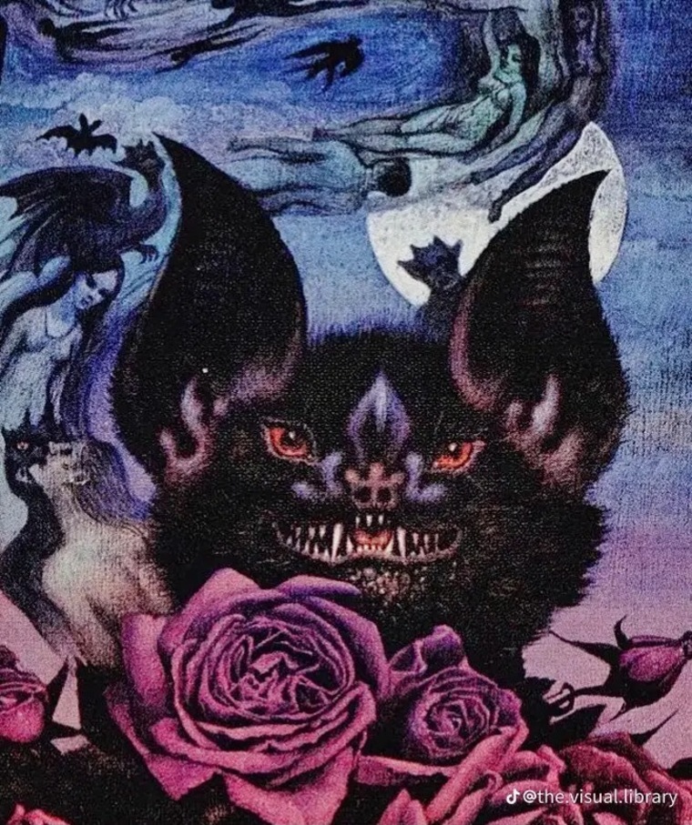 kiwi cover image