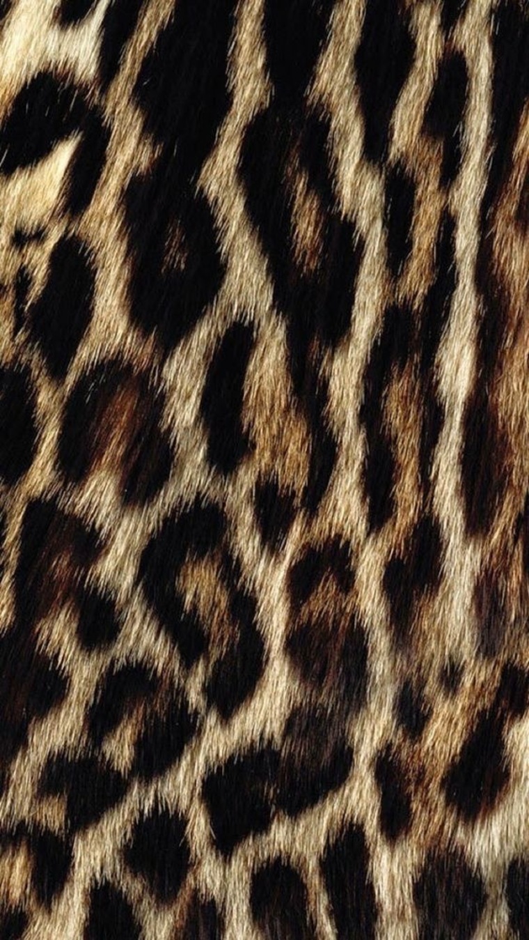 Grace cover image
