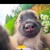 Kute.F avatar