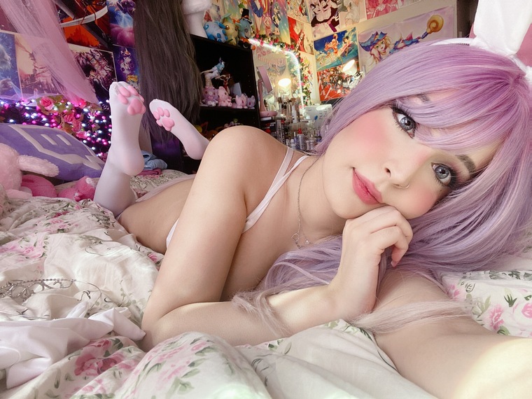🌸 kitten 🌸 pink princess banner image