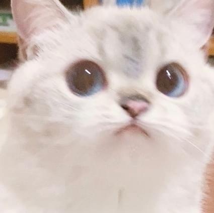 Mhoowhanz banner image