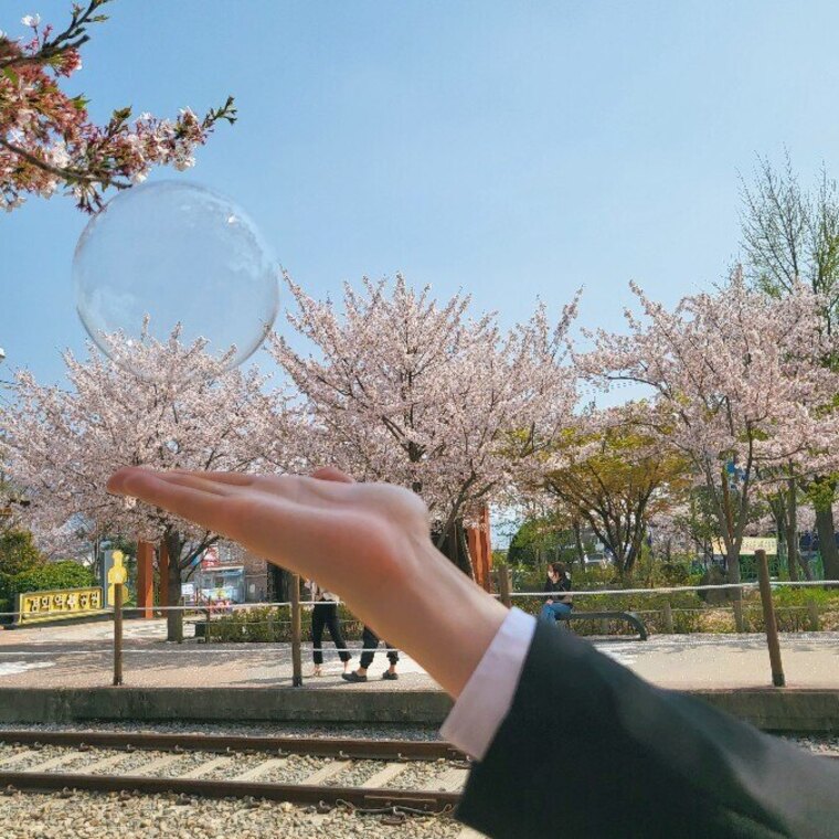 Kwon banner image