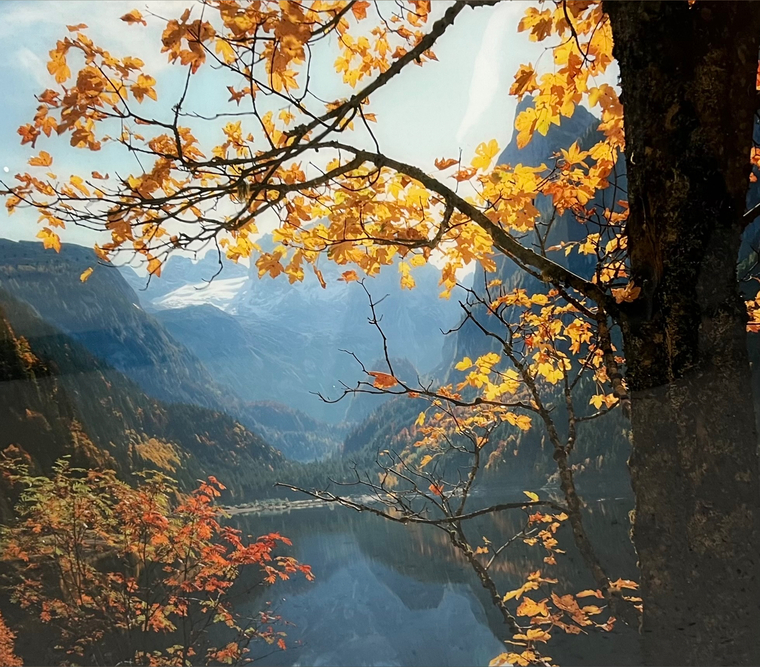 KyashiRei cover image