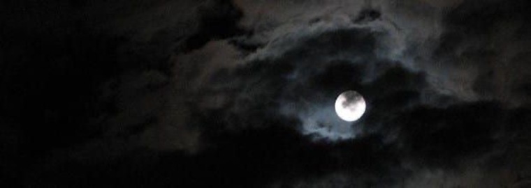 kyle best friend banner image