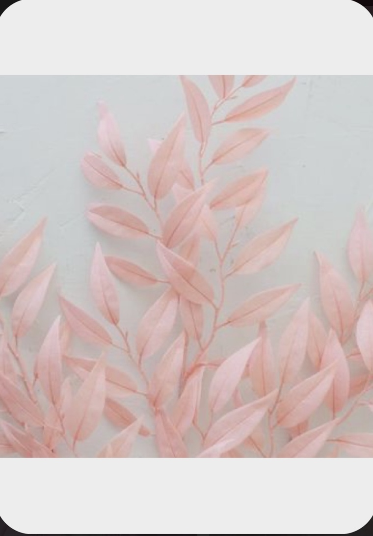 Kylie Kelson cover image