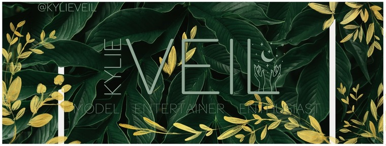 KylieVeil cover image