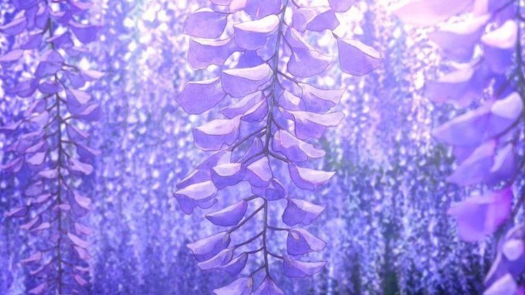 Eli cover image