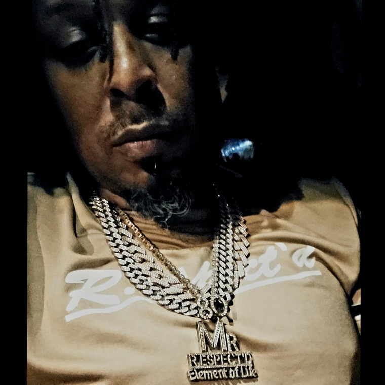 L.otta I.nchz cover image