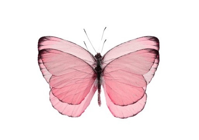 u26331483 banner image