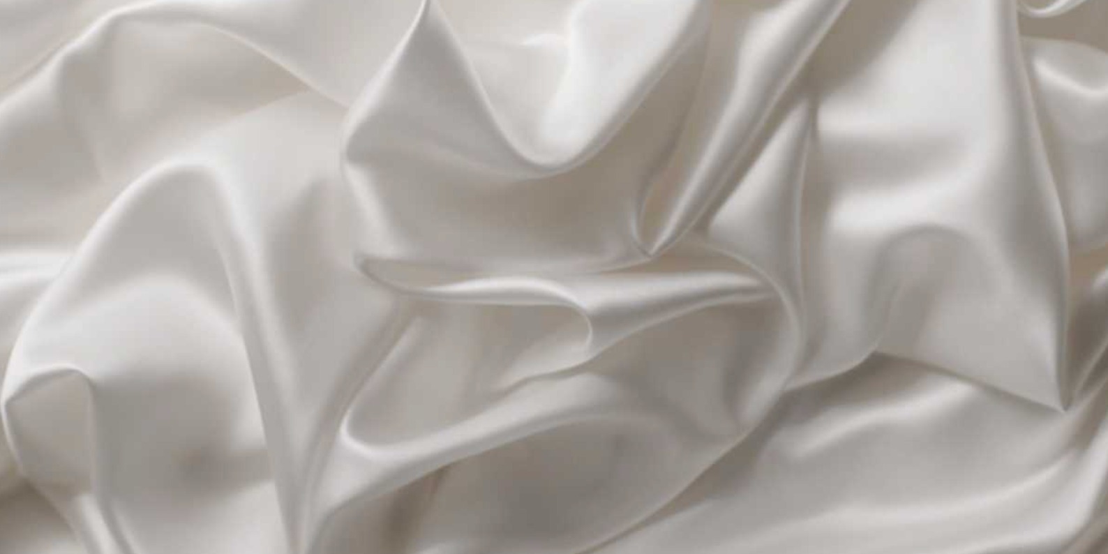 Lola Jacobs banner image