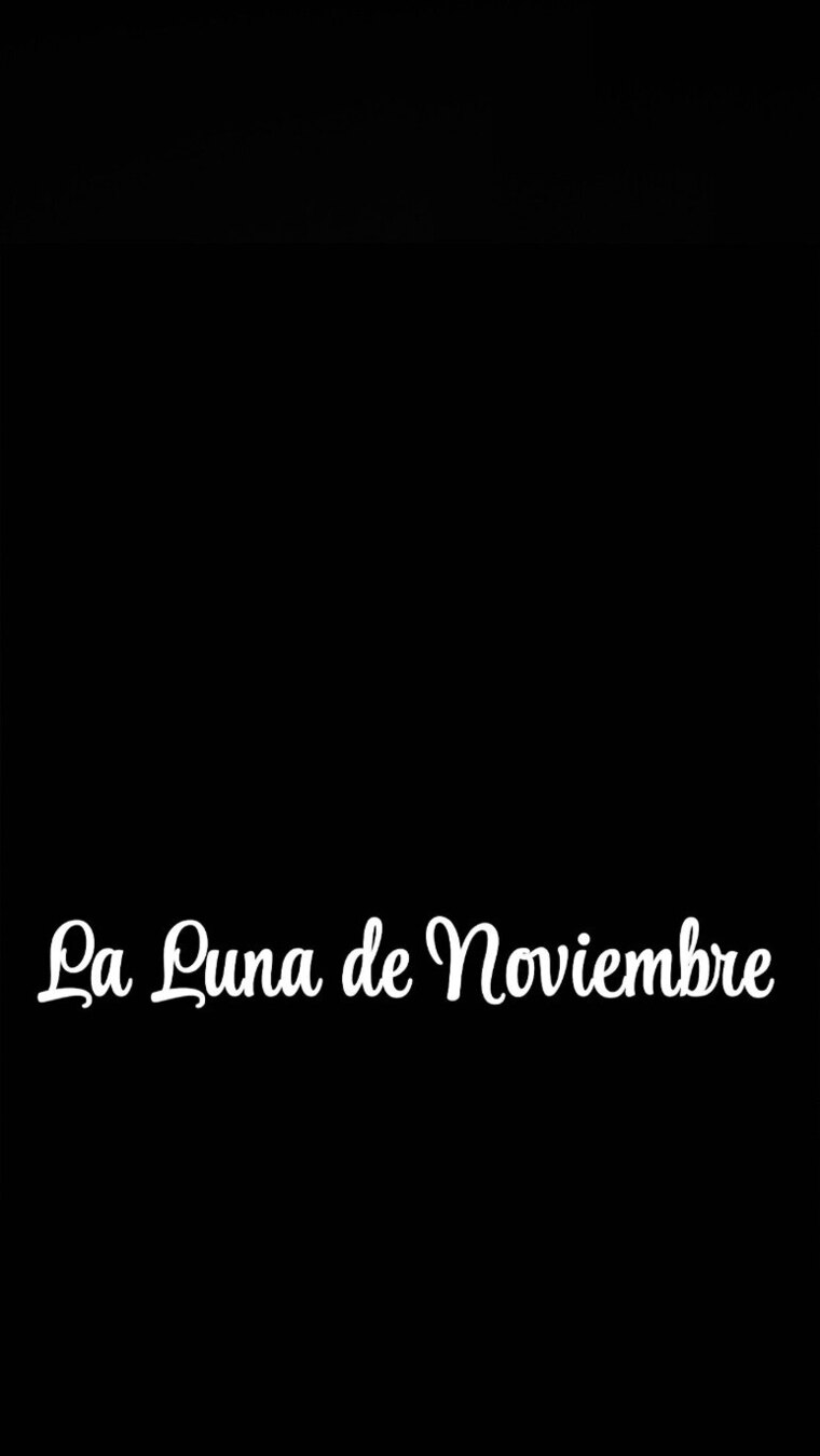 La_luna_de_noviembre cover image