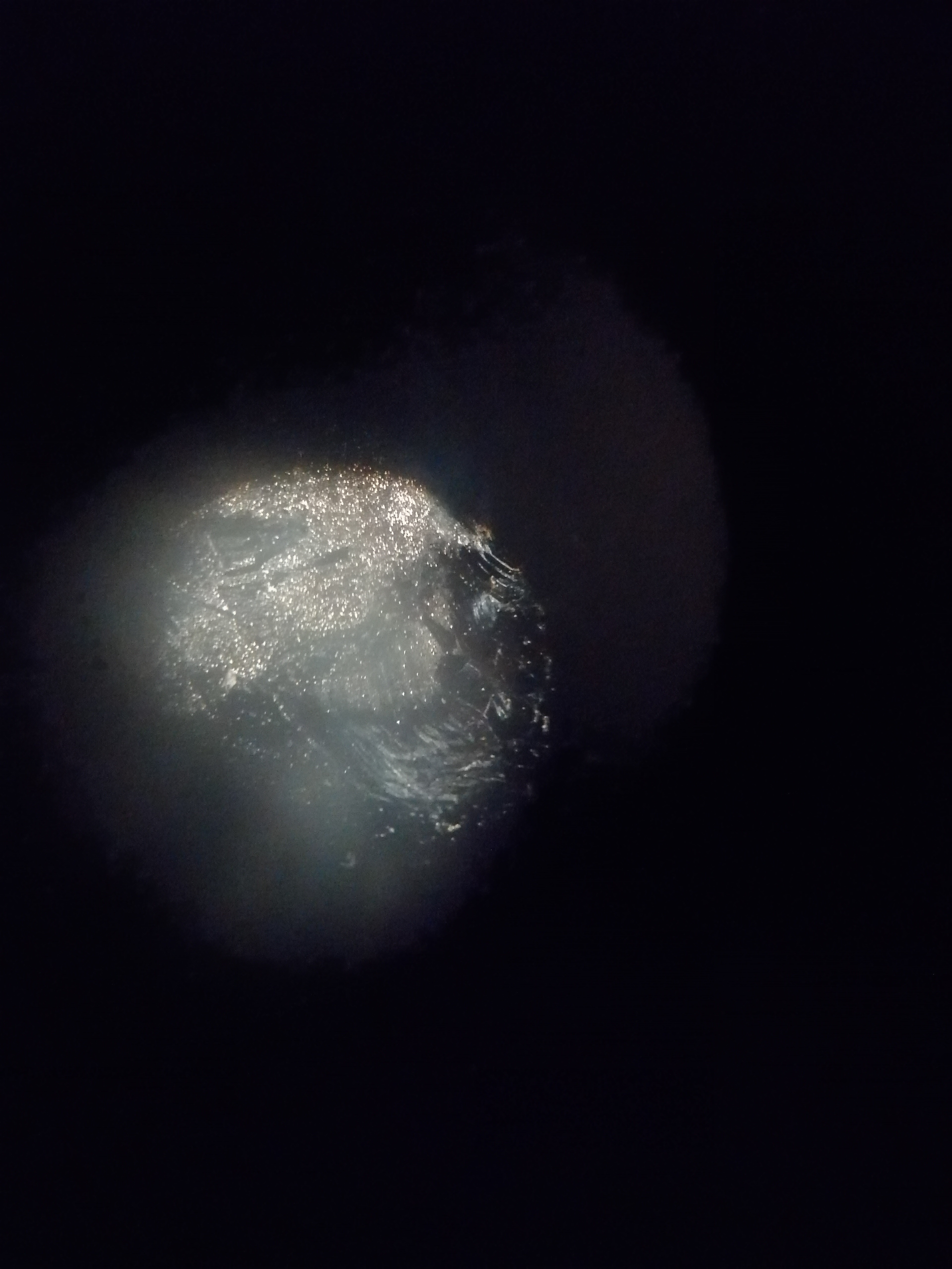 La_mujersita_malaπ©π΄πͺπΈπ©π΄πͺπΈπ©π΄πͺπΈπ©π΄πͺπΈ banner image