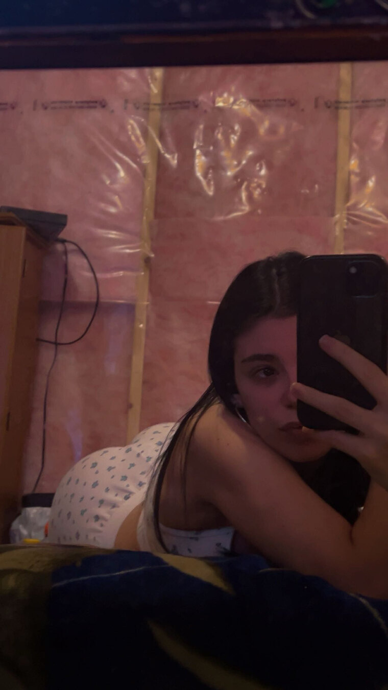 La petite brunette cover image