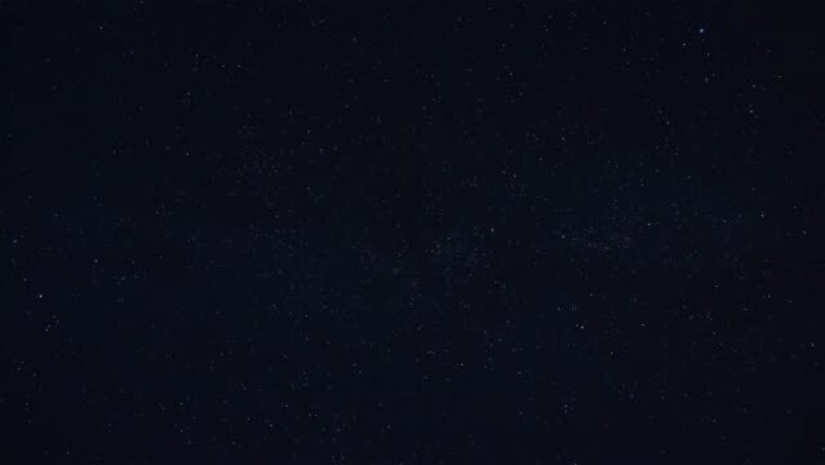 R e i n a cover image
