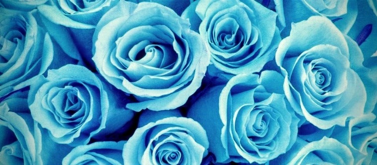 Laanaa Love cover image