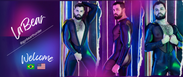 LaBear cover image