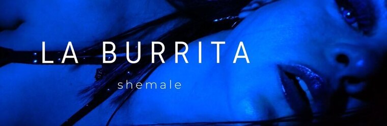 La Burrita banner image