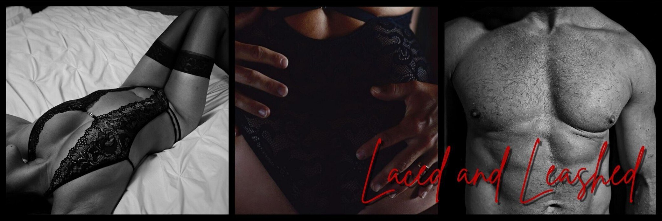 Laced and Leashed (Zoey & Jax) ๐ banner image