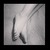 Lacee Barefeet avatar