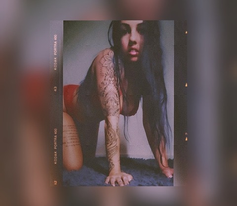 Lacella cover image