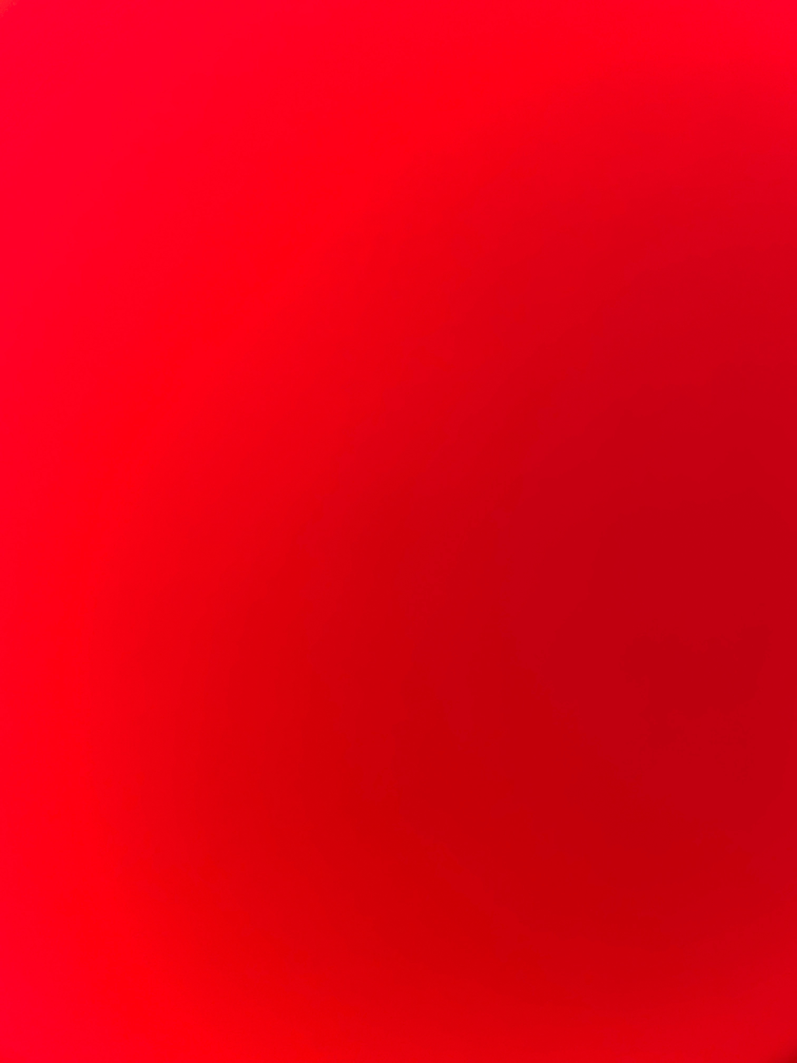 Lacey Carter banner image